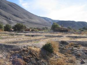the subsistence-based economy of the Tarapaca valley in the North of Chile